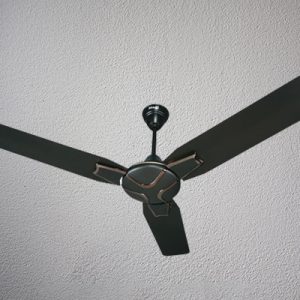 Lues Fans