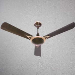 Acer Ceiling Fans