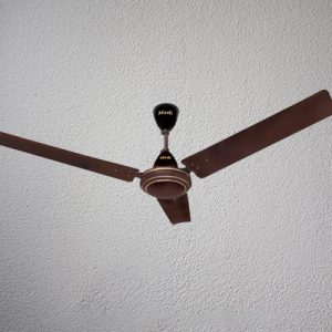 Freedom Ceiling Fans