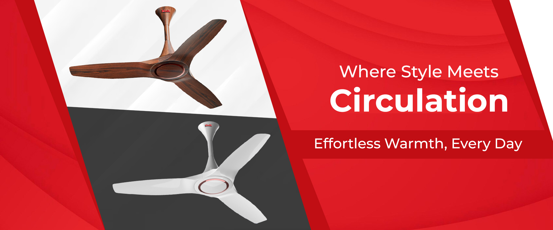 Modi Fan Banner 3 (2)